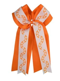 Ponytail Holder With Wide Power T Ribbon