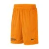 Nike Dri-Fit Athletic Shorts -Clothing Discounts 370561p A